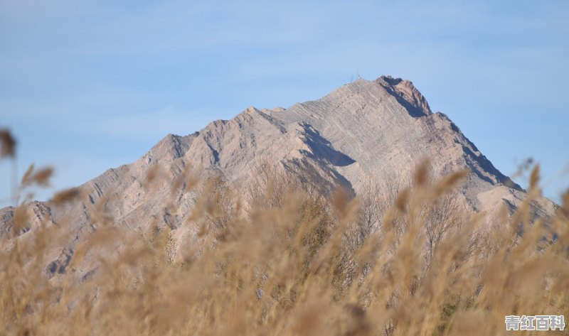 湿地公园游览顺序