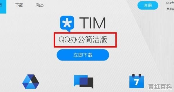 Tim的中文是什么