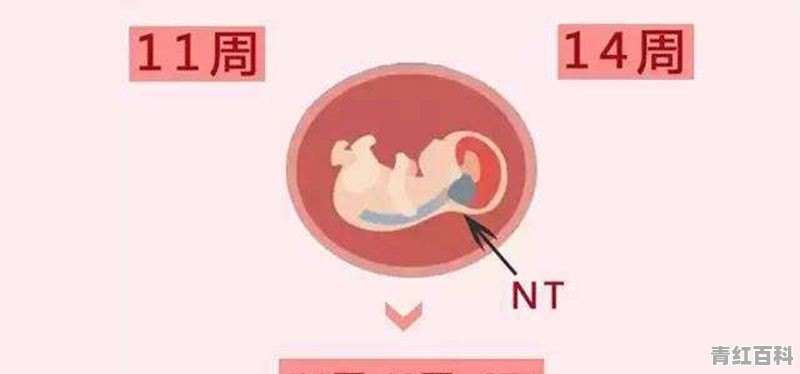 nt位置不好怎么办查不到