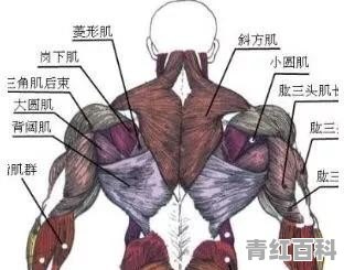 宝宝头围小怎么办?专家解答