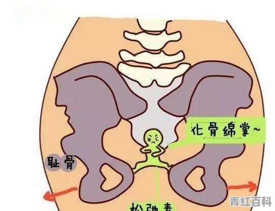 怀孕初期腿肿胀是怎么回事