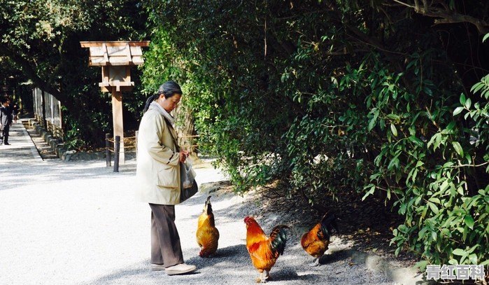 旅游的目标是什么