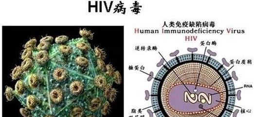 著名的历史故事英文 - 华夏历史