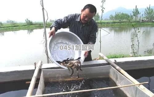 惠阳鸭子奶茶加盟费多少钱