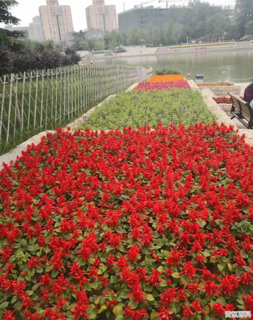 到北京旅游穿什么颜色的衣服拍照比较好