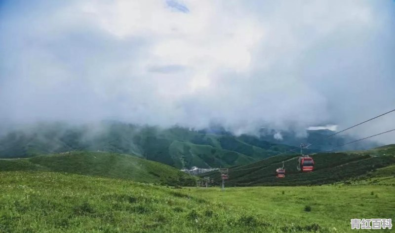 天一旅游