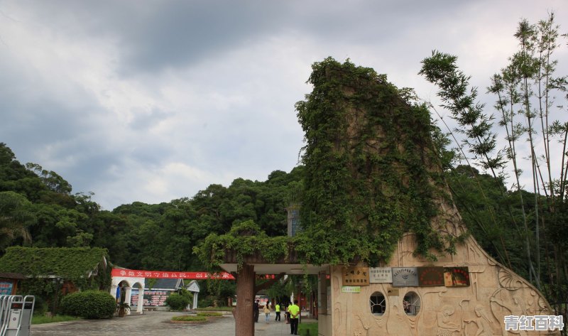 海鸥岛怎么玩