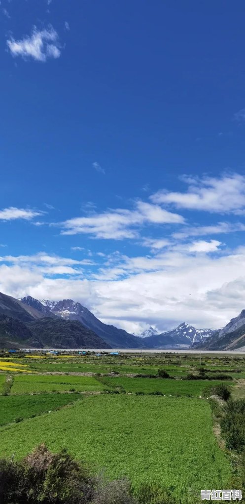 唐都旅游有限公司