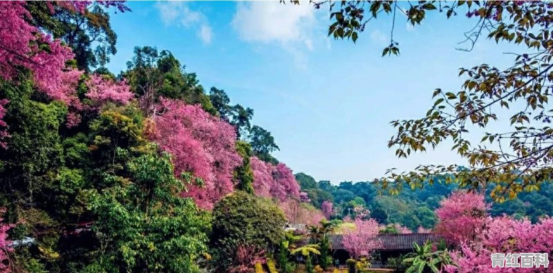 咸宁旅游节什么时候开始