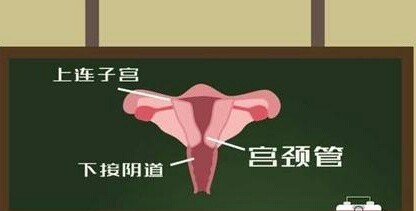 怀孕宫颈口短怎么办