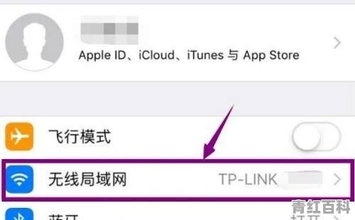 苹果手机看wifi密码怎么看