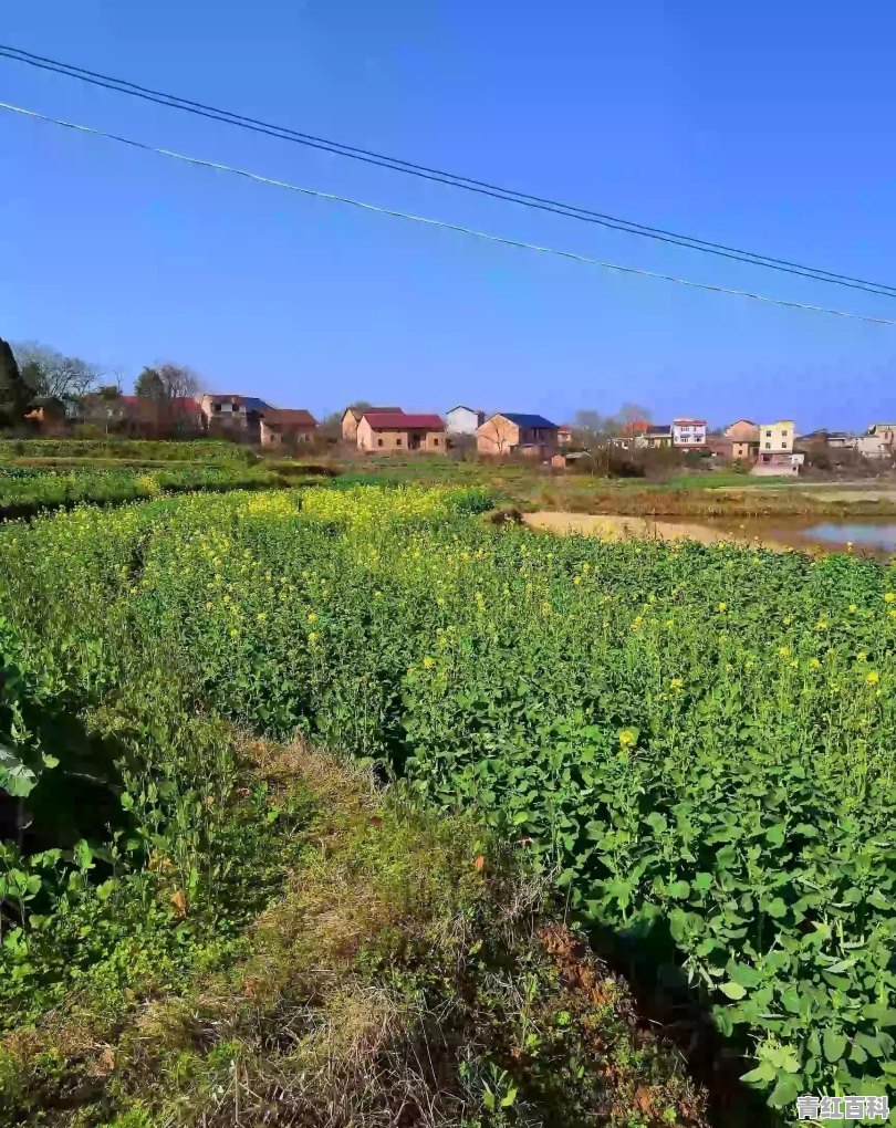 春节期间适合去哪旅游国内