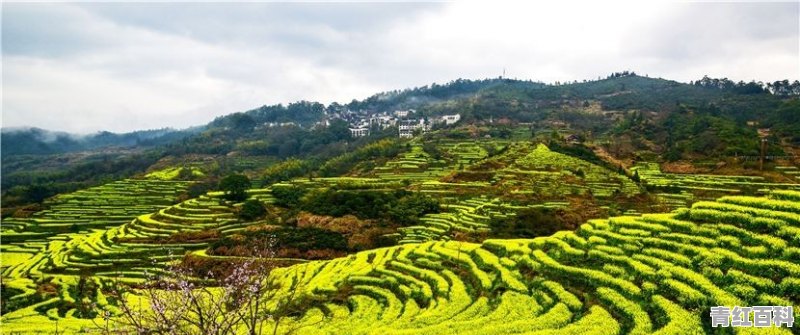 三月底适合去哪里旅游国内