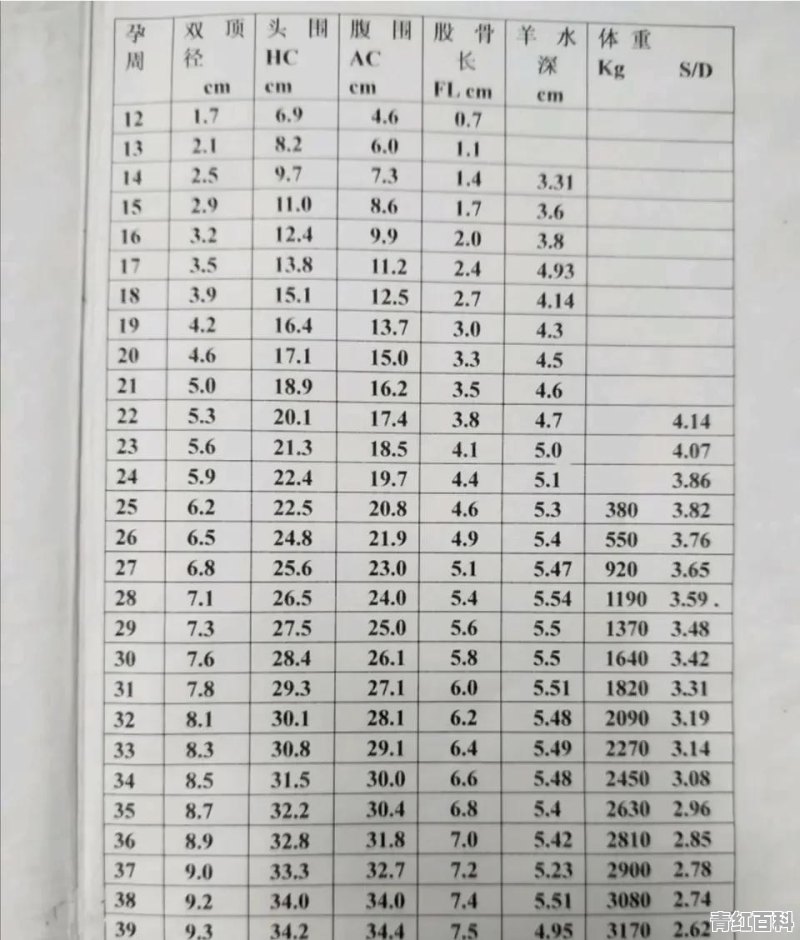 怀孕35周B超显示胎儿头大腿短怎么办