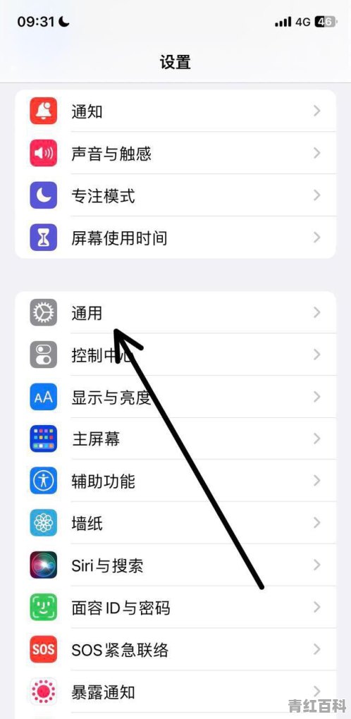 iphone已用内存怎么删除