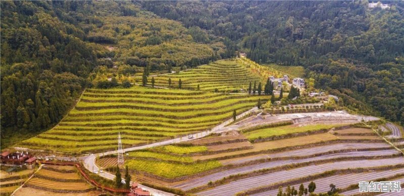 都江堰玉堂美食推荐店铺有哪些地方好吃的