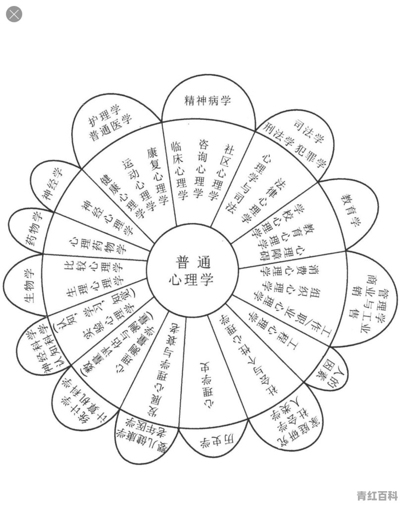 心理学很热门吗