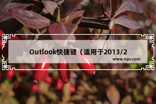 Outlook快捷键（适用于2013/2016/2019）