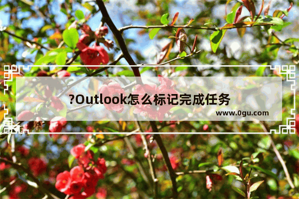 ?Outlook怎么标记完成任务