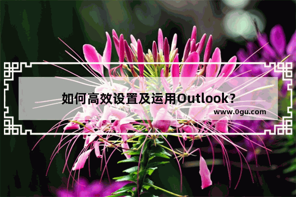 如何高效设置及运用Outlook？