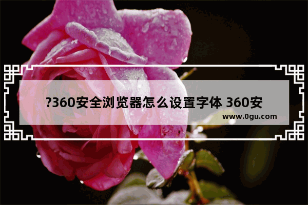 ?360安全浏览器怎么设置字体 360安全浏览器设置字体的方法教程