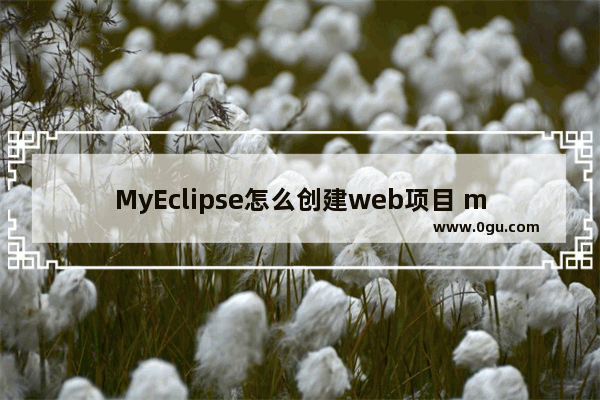 MyEclipse怎么创建web项目 myeclipse新建web项目文件的方法