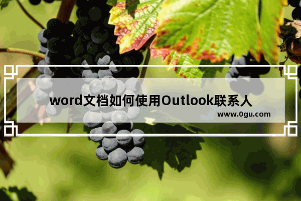 word文档如何使用Outlook联系人作为收件人?怎么做