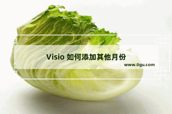 Visio 如何添加其他月份