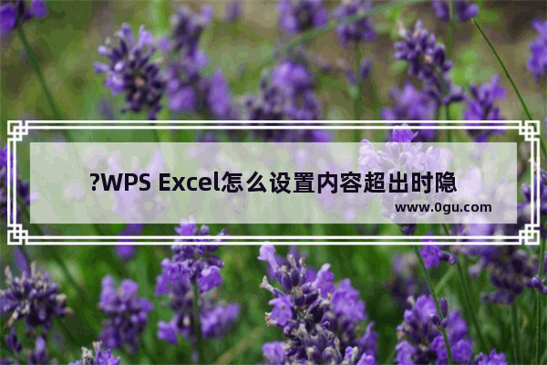 ?WPS Excel怎么设置内容超出时隐藏 WPS表格设置文字超出单元格不显示的方法教程