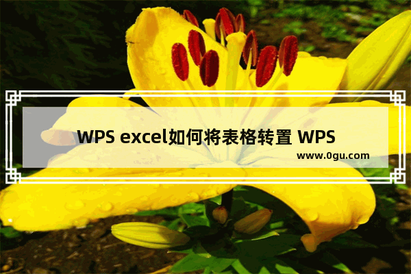 WPS excel如何将表格转置 WPS Excel中将行和列内容调换的方法