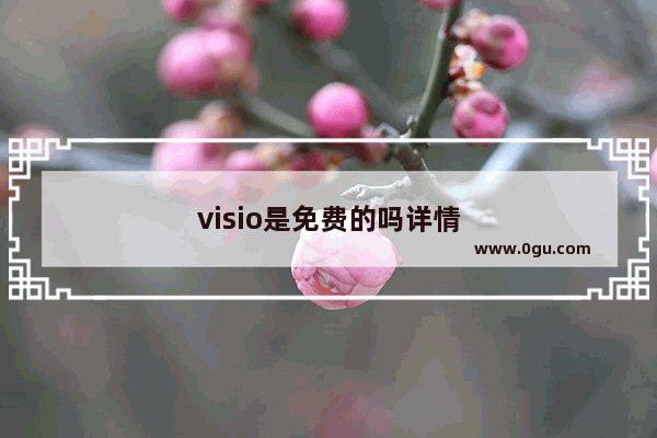 visio是免费的吗详情