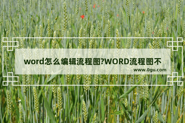 word怎么编辑流程图?WORD流程图不能编辑大小的解决办法