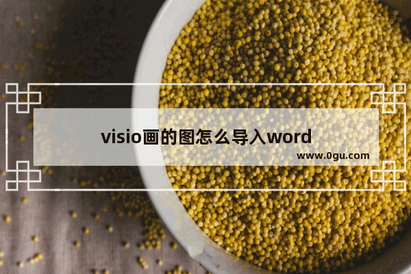 visio画的图怎么导入word