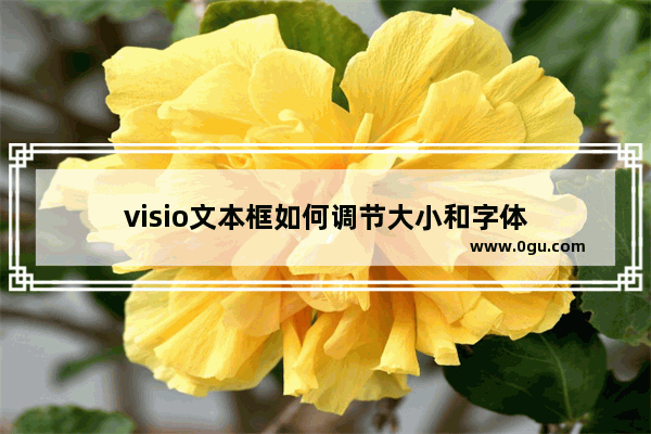 visio文本框如何调节大小和字体