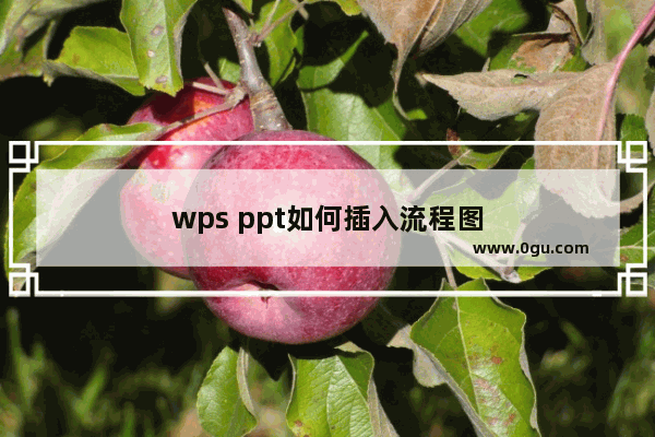 wps ppt如何插入流程图