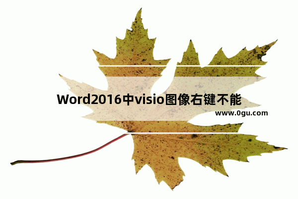 Word2016中visio图像右键不能打开怎么办?