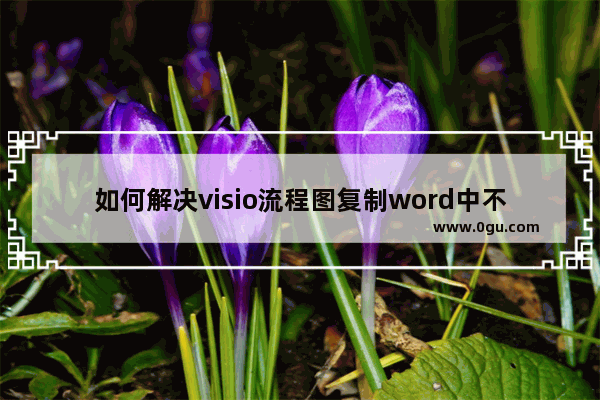 如何解决visio流程图复制word中不显示