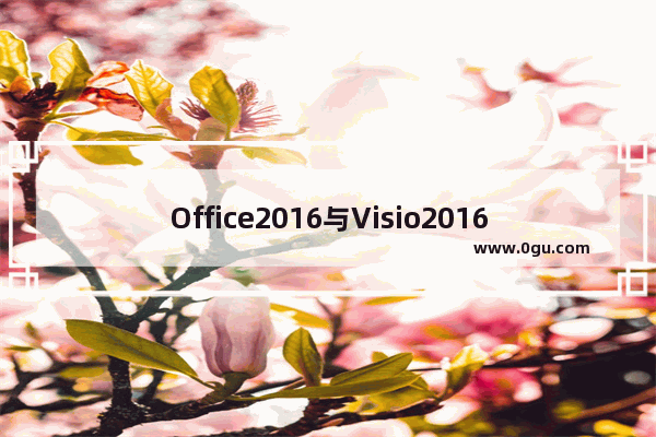 Office2016与Visio2016不兼容解决方法