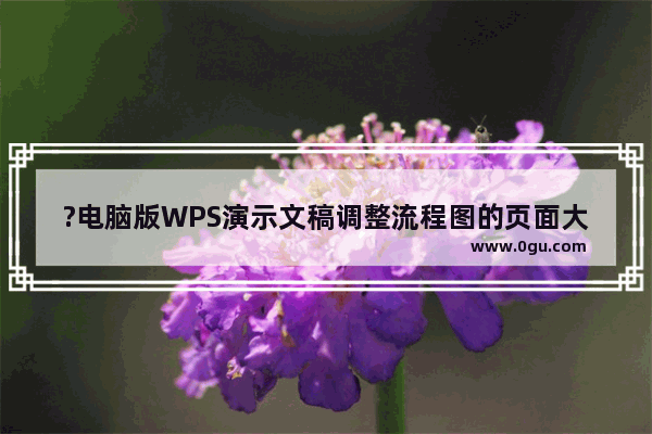 ?电脑版WPS演示文稿调整流程图的页面大小