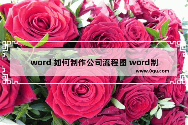 word 如何制作公司流程图 word制作公司流程图动画教程