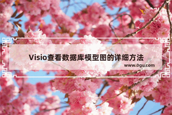 Visio查看数据库模型图的详细方法