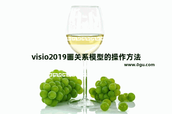 visio2019画关系模型的操作方法