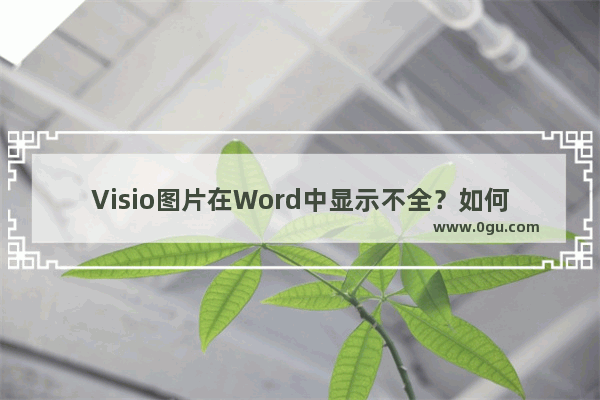 Visio图片在Word中显示不全？如何确定Visio作图大小？