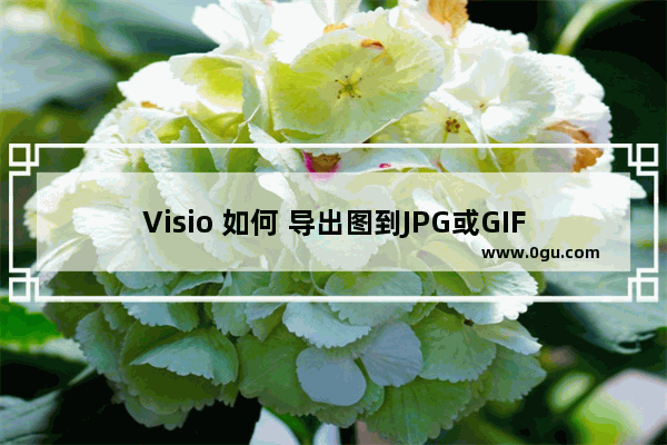 Visio 如何 导出图到JPG或GIF