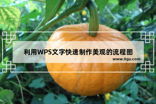 利用WPS文字快速制作美观的流程图