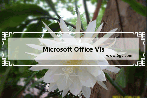 Microsoft Office Visio中网格线无法显示的处理方法