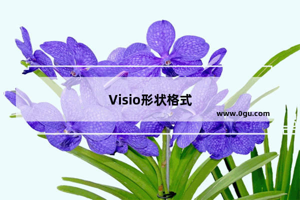 Visio形状格式