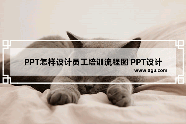 PPT怎样设计员工培训流程图 PPT设计员工培训流程图的详细步骤