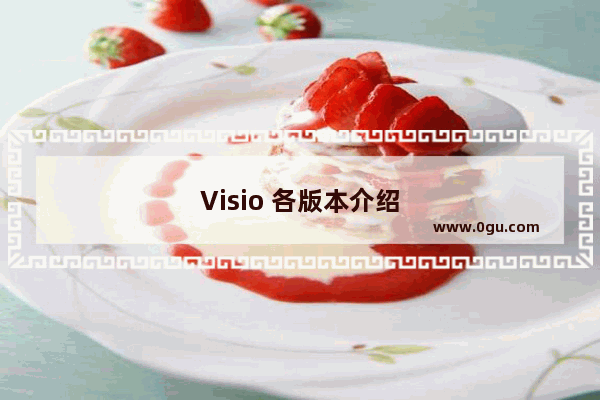 Visio 各版本介绍