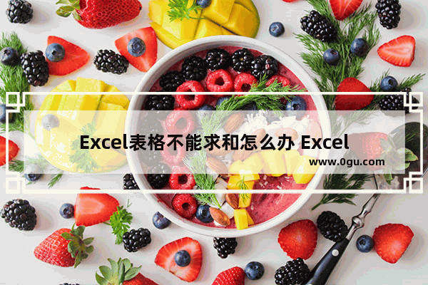 Excel表格不能求和怎么办 Excel表格不能求和的解决方法